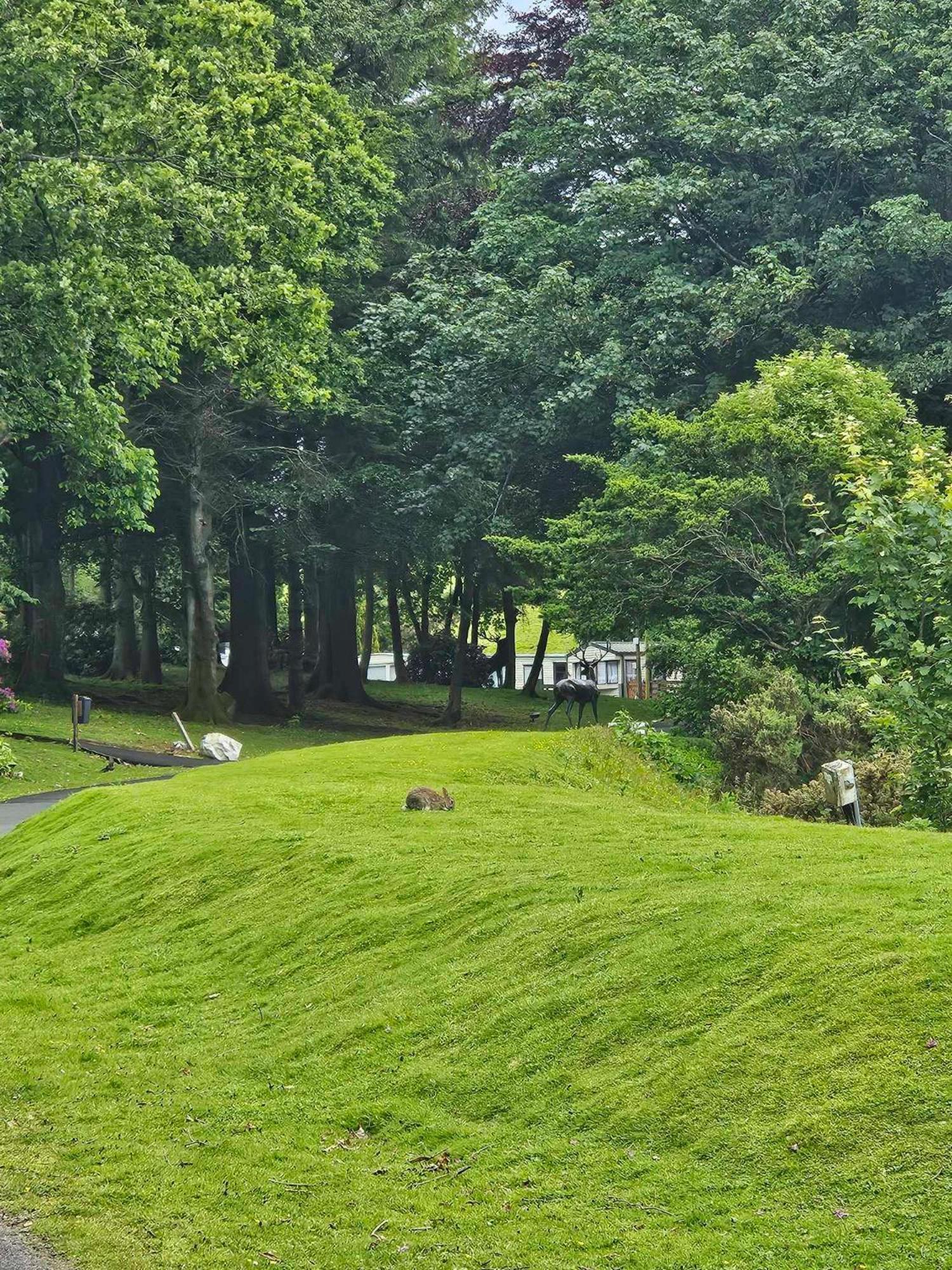The Sunny Bunny Holiday Home Ballantrae المظهر الخارجي الصورة
